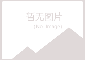 西安莲湖夏青化学有限公司